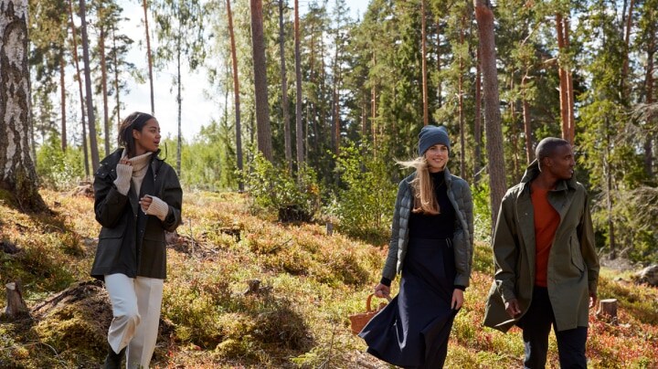 Två yngre kvinnor en man vandrar i skogen under solig höstdag.